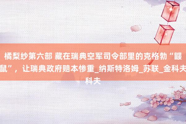 橘梨纱第六部 藏在瑞典空军司令部里的克格勃“鼹鼠”，让瑞典政府赔本惨重_纳斯特洛姆_苏联_金科夫