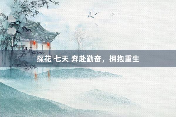 探花 七天 奔赴勤奋，拥抱重生