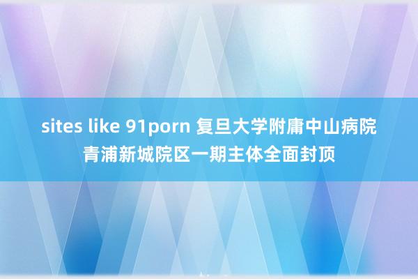sites like 91porn 复旦大学附庸中山病院青浦新城院区一期主体全面封顶