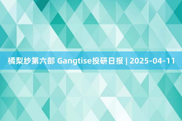 橘梨纱第六部 Gangtise投研日报 | 2025-04-11
