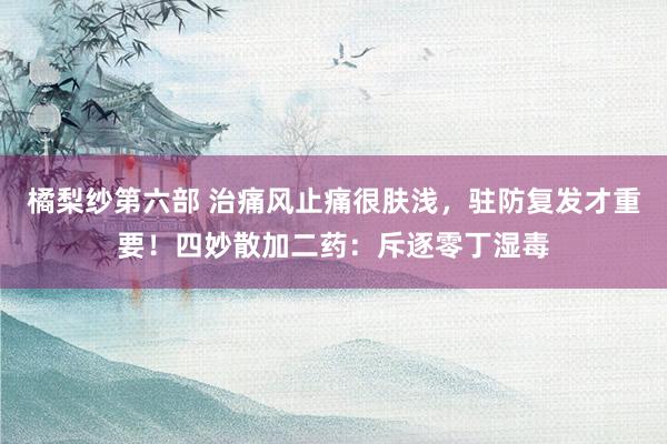 橘梨纱第六部 治痛风止痛很肤浅，驻防复发才重要！四妙散加二药：斥逐零丁湿毒