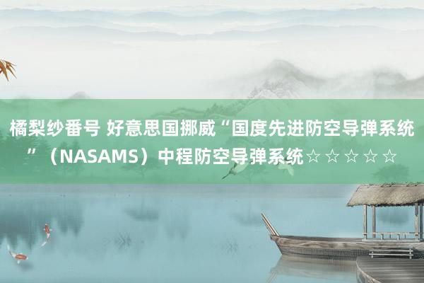 橘梨纱番号 好意思国挪威“国度先进防空导弹系统”（NASAMS）中程防空导弹系统☆☆☆☆☆