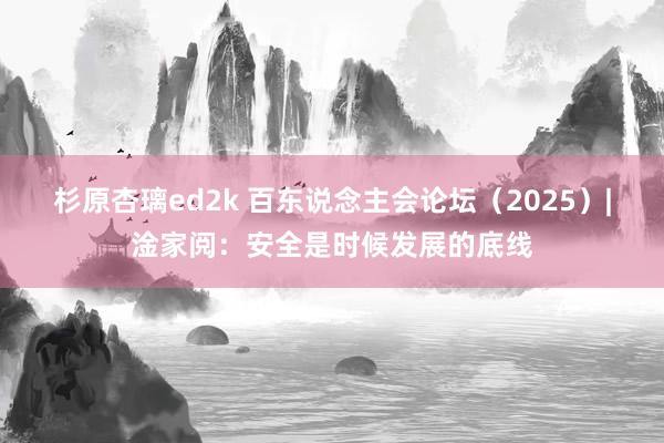 杉原杏璃ed2k 百东说念主会论坛（2025）|淦家阅：安全是时候发展的底线