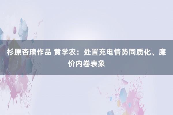 杉原杏璃作品 黄学农：处置充电情势同质化、廉价内卷表象