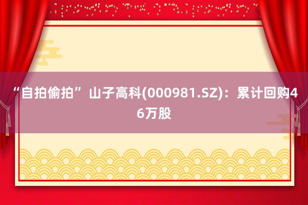 “自拍偷拍” 山子高科(000981.SZ)：累计回购46万股