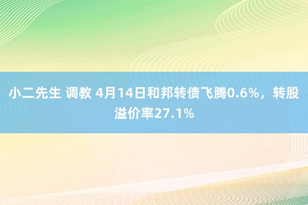 小二先生 调教 4月14日和邦转债飞腾0.6%，转股溢价率27.1%