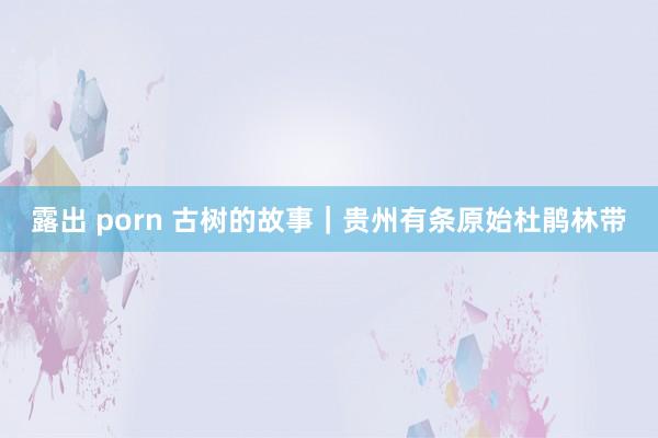 露出 porn 古树的故事｜贵州有条原始杜鹃林带