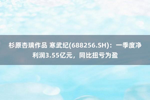 杉原杏璃作品 寒武纪(688256.SH)：一季度净利润3.55亿元，同比扭亏为盈
