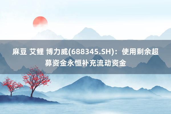 麻豆 艾鲤 博力威(688345.SH)：使用剩余超募资金永恒补充流动资金
