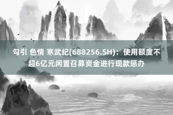 勾引 色情 寒武纪(688256.SH)：使用额度不超6亿元闲置召募资金进行现款惩办