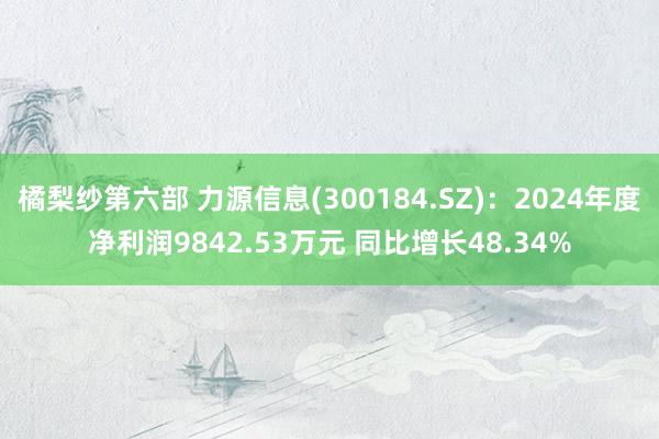 橘梨纱第六部 力源信息(300184.SZ)：2024年度净利润9842.53万元 同比增长48.34%