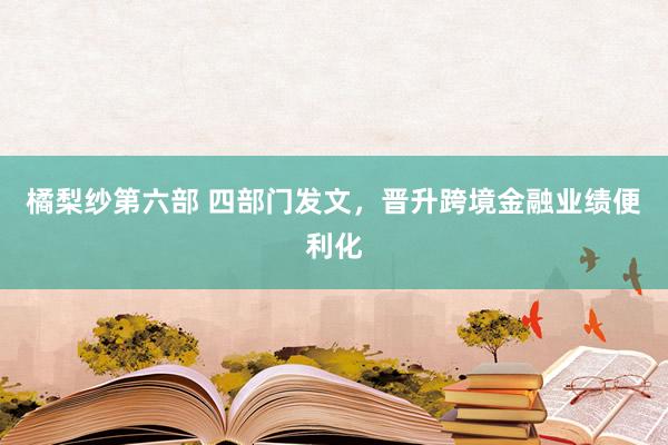 橘梨纱第六部 四部门发文，晋升跨境金融业绩便利化