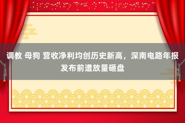 调教 母狗 营收净利均创历史新高，深南电路年报发布前遭放量砸盘