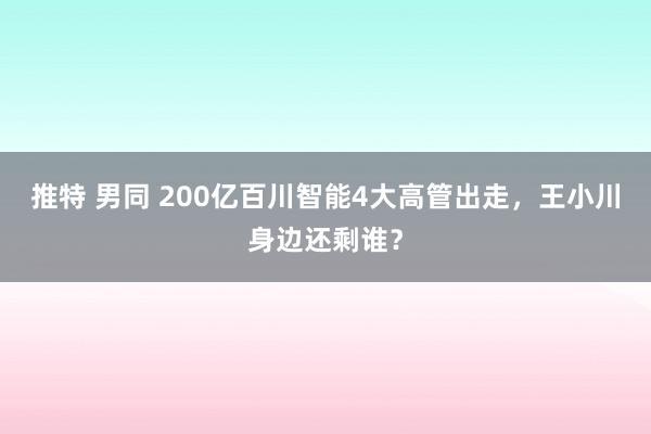 推特 男同 200亿百川智能4大高管出走，王小川身边还剩谁？