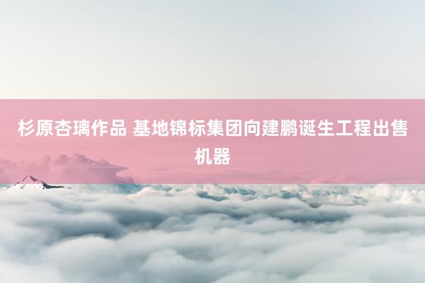 杉原杏璃作品 基地锦标集团向建鹏诞生工程出售机器