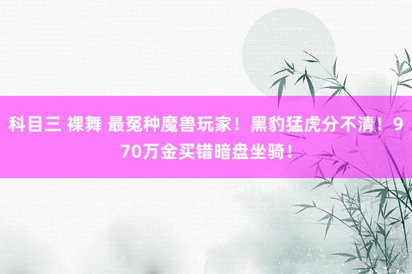 科目三 裸舞 最冤种魔兽玩家！黑豹猛虎分不清！970万金买错暗盘坐骑！