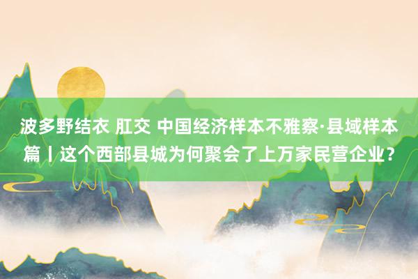 波多野结衣 肛交 中国经济样本不雅察·县域样本篇丨这个西部县城为何聚会了上万家民营企业？