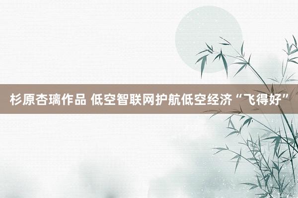 杉原杏璃作品 低空智联网护航低空经济“飞得好”