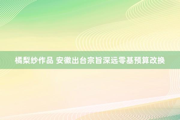 橘梨纱作品 安徽出台宗旨深远零基预算改换