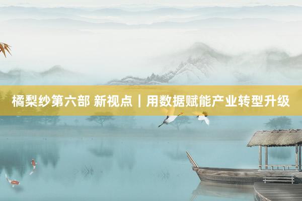 橘梨纱第六部 新视点｜用数据赋能产业转型升级