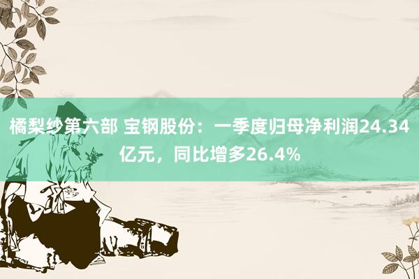 橘梨纱第六部 宝钢股份：一季度归母净利润24.34亿元，同比增多26.4%