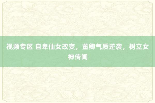 视频专区 自卑仙女改变，董卿气质逆袭，树立女神传闻
