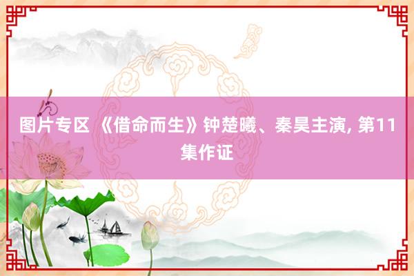 图片专区 《借命而生》钟楚曦、秦昊主演， 第11集作证