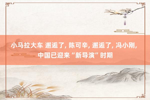 小马拉大车 邂逅了， 陈可辛， 邂逅了， 冯小刚， 中国已迎来“新导演”时期